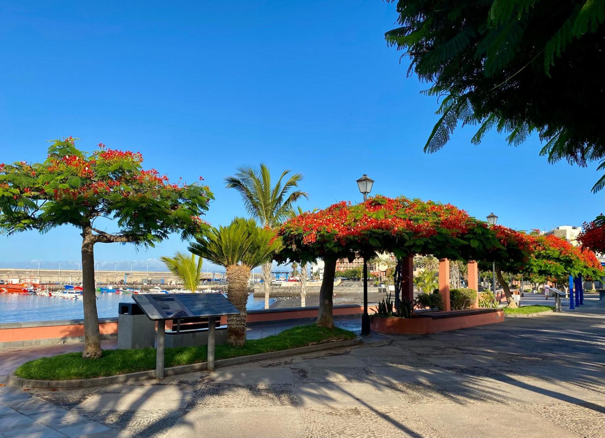 Casa Antonio - Apartamento Luna Playa de San Juan  Exteriör bild