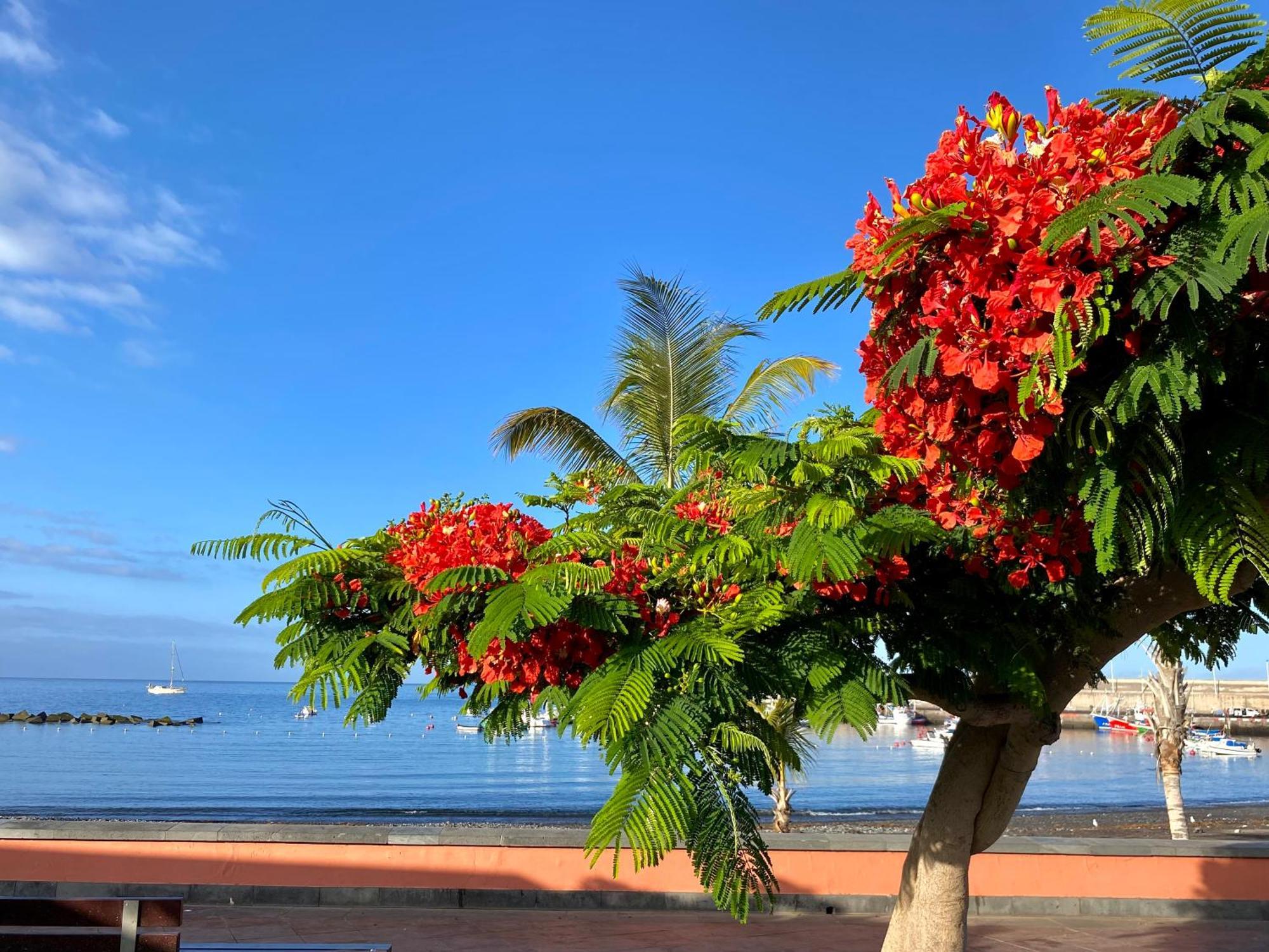 Casa Antonio - Apartamento Luna Playa de San Juan  Exteriör bild